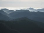 IMG_0731.jpg