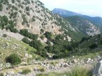 DSCN7963.jpg
