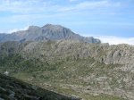 DSCN7979.jpg
