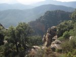 IMG_0737.jpg