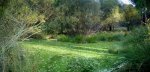 picadaspano2 (Medium).JPG