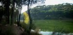 picadaspano4 (Medium).JPG