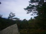 Foto7.JPG