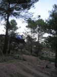 DSCN5030.jpg