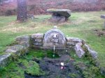 31102009_004.jpg