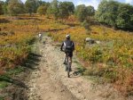 311009 mtb 023_800x600.jpg