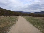 DSC02726.JPG
