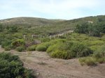 DSC02750.JPG