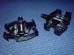 DSC00461.JPG