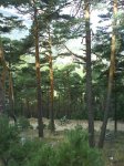DSC08306.jpg