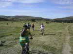 DSC08313.jpg