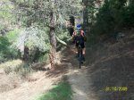 100_0631_1024x768.jpg