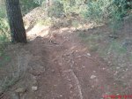 DSC00354.jpg