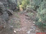 DSC00355.jpg