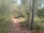 DSC00357.jpg