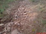 DSC00358.jpg