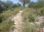 DSC00359.jpg