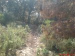 DSC00360.jpg