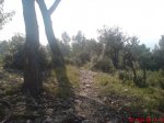 DSC00364.jpg