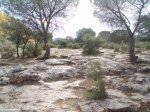 PB010041.jpg