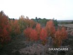 PA310130.JPG