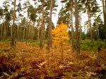 IMG028.jpg
