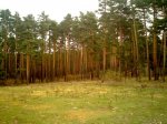 IMG035.jpg