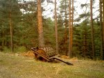 IMG036.jpg