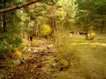 IMG042.jpg