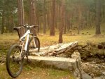 IMG043.jpg