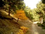 IMG045.jpg