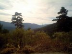 IMG049.jpg