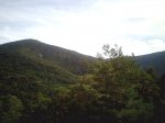 IMG051.jpg