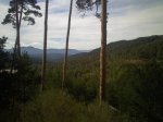 IMG052.jpg