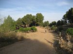 IMG_7851.JPG