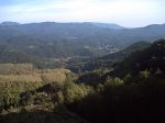 PICT0003.jpg