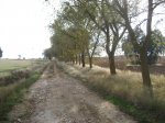IMG_7870.JPG