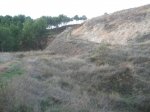 IMG_7904.JPG