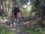 Montirolo-Senda%20del%20Lobo%20135.jpg