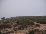 DSCF7490.JPG