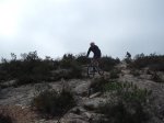 DSCF7520.JPG