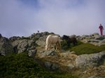 Foto22.JPG