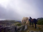 Foto23.JPG