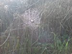 DSC01489.jpg