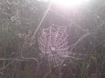 DSC01490.jpg
