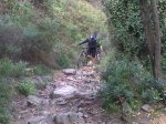 IMG00006-20091031-1016.jpg