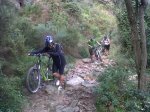 IMG00007-20091031-1017.jpg