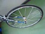 DSC01917.JPG