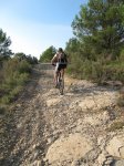 BTT5.jpg