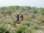 BTT11.jpg